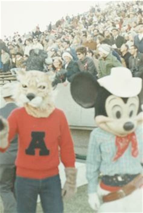 Photos: Wilbur and Wilma Wildcat through the years | Wild cats, Wilbur, University of arizona