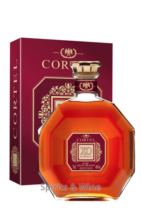 Cortel XO Superior - Brandy - Spirits & Wine