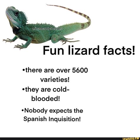 Fun lizard facts! "there are over 5600 varieties! "they are cold- blooded! *Nobody expects the ...