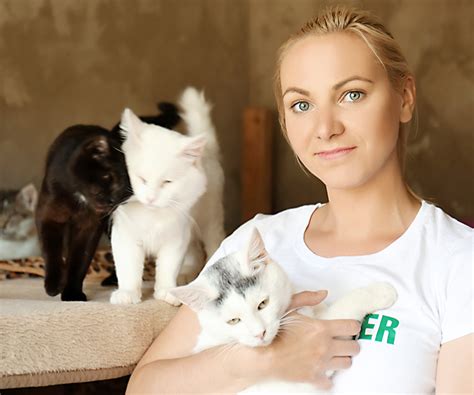 How to Volunteer at Your Local Animal Shelter | Hartz