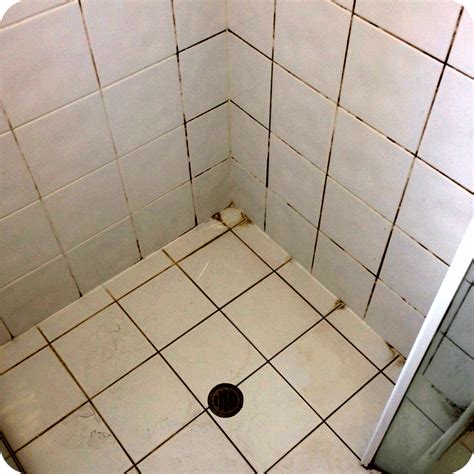 Regrouting Showers | Regrouting Tiles | The Shower Repair Centre