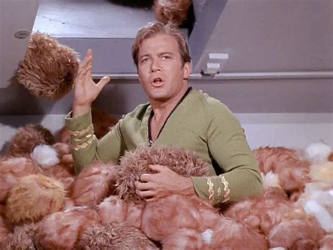 Tribbles In Star Trek - What Are They?