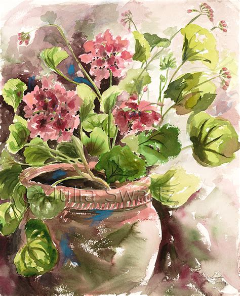 Geranium Flower Watercolor Painting