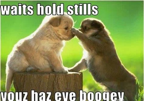 20 Cute And Adorable Baby Animal Memes With Funny Captions (With images ...