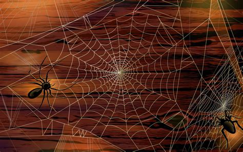 Spiders Wallpapers - Wallpaper Cave