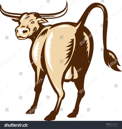 Illustration Of A Texas Longhorn Bull Viewed From The Rear Done In ...