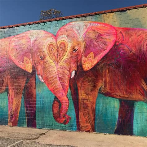 12 Totally Instagram-Worthy Murals in Houston | Elephant art, Mural ...