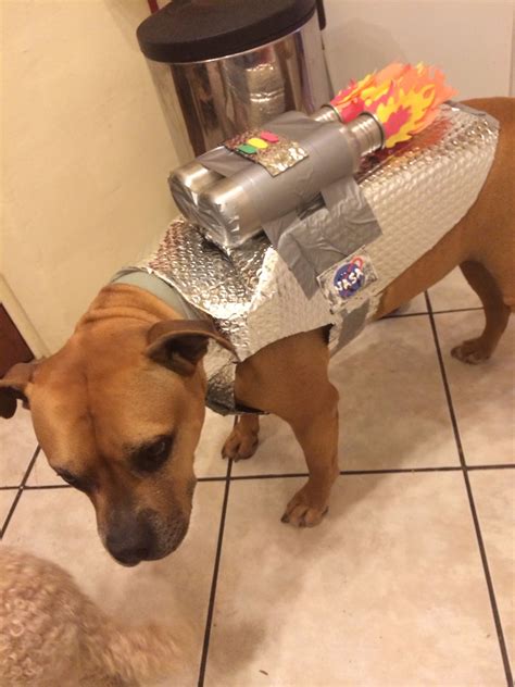 √ Diy Dog Costumes For Big Dogs