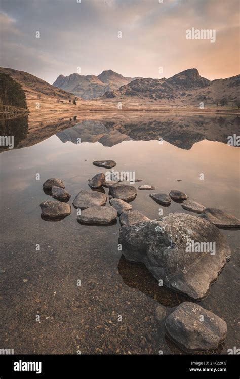 Blea Tarn with mirror-like reflections of the Langdale Pikes at sunrise in spring Stock Photo ...