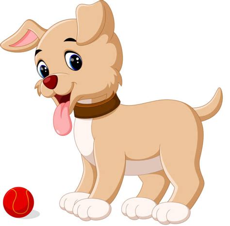 Dog Shaking Clip Art, Vector Images & Illustrations - iStock