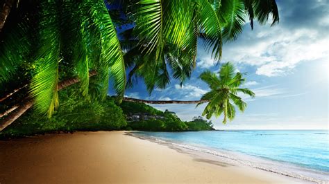 Tropical Paradise Beach 4K wallpaper