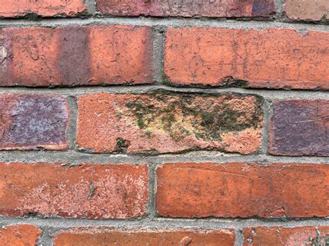 Emperor Paint | The Ultimate Guide To Spalling Bricks