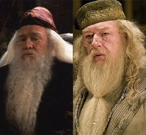 Mindennapok szépségei: Ki is valójában Dumbledore?