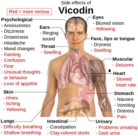 File:Side effects of Vicodin.svg - Wikimedia Commons