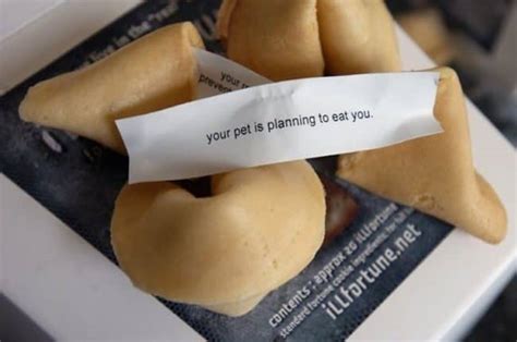 19 Hilariously Unexpected Messages From Fortune Cookies – Pulptastic