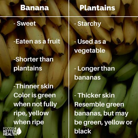 Plantain vs. Banana: They Look Same But Are Different