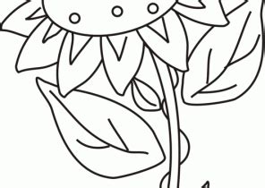 Sunflower Coloring Pages - Coloring4Free.com