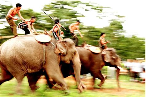 Elephant Racing Festival, Vietnam. If you have a chance to Dak Lak Province in springtime, you ...