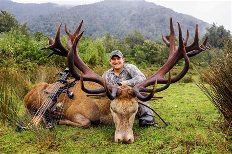 WILDERNESS QUEST NEW ZEALAND 6-Day Hunt for Red Stag Plus a $1,500 Credit Towards Tahr & Chamois in