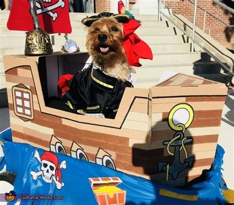 Halo the BrownBeard Dog Costume | Easy DIY Costumes