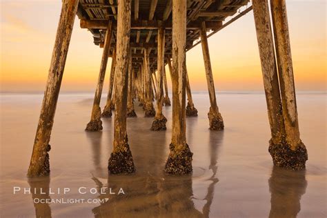 Imperial Beach pier at sunrise, California, #27415