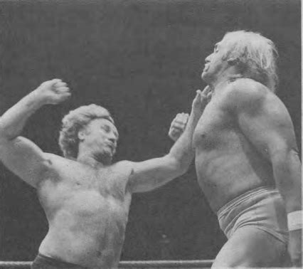 File:Nick Bockwinkel and Hulk Hogan, 1982.png - Wikimedia Commons