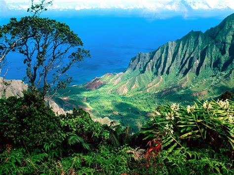 Free Hawaii Desktop Wallpapers - Wallpaper Cave