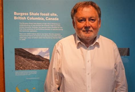 N.L. fossils star in Oxford University exhibit documenting Earth's ...