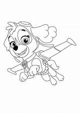 35  Skye Paw Patrol Coloring Pages Chase sketch template