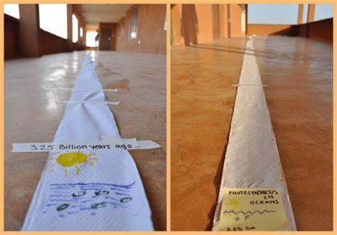 The toilet paper timeline (reproduced with permission from Turkana ...