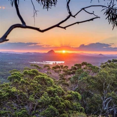 Sunshine Coast Hinterland Tours (Montville)