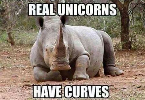 Pin by Kate Johnson on Rhinos-R-us | Funny meme pictures, Funny pictures, Funny animal pictures