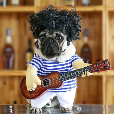 Funny Guitar Dog Costume - - This Halloween give your Dog cool look by gifting him awesome Pet ...