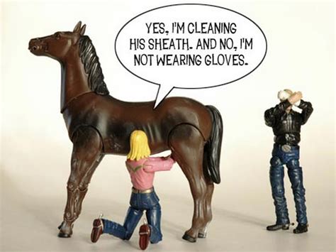 4 Compelling Reasons to Clean Your Gelding’s Sheath (Even If You Really Don’t Want To) | Horse ...