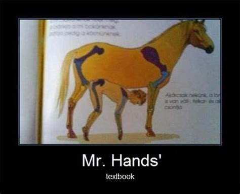 The school years | 2 Guys 1 Horse / Mr. Hands | Know Your Meme