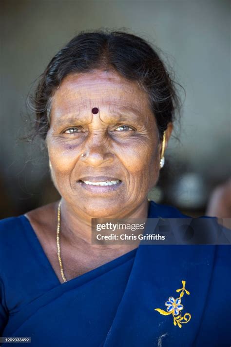 Thimmamma Marrimanu Andhra Pradesh India High-Res Stock Photo - Getty ...