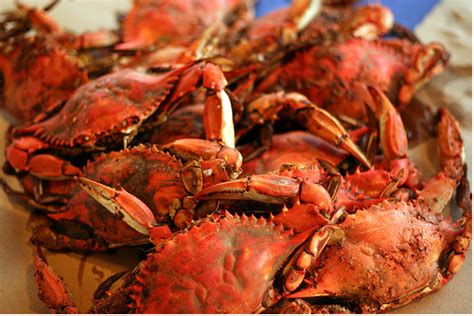 A Feast at Harris’s Crab House, Grasonville, Maryland – Good Food Gourmet