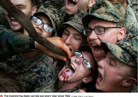 US & Thai Soldiers Tear Snakes Faces, Drink Their Blood In Bizarre Ritual (Graph - Foreign ...