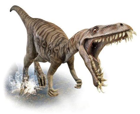 Masiakasaurus was a small theropod (about the size of a German Shepard ...