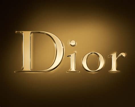 Christian Dior Logo Clothing: Luxury Fashion