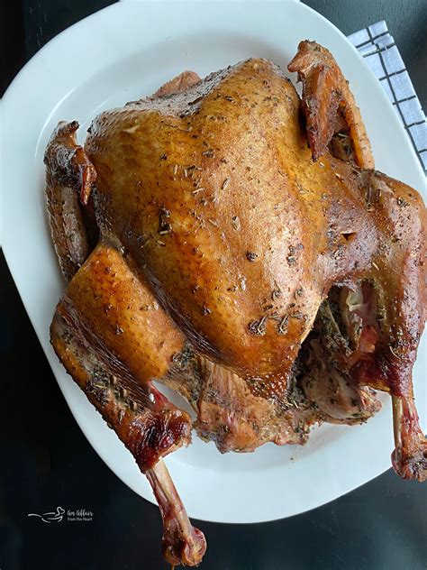 Traeger Smoked Turkey Brine Recipe | Dandk Organizer