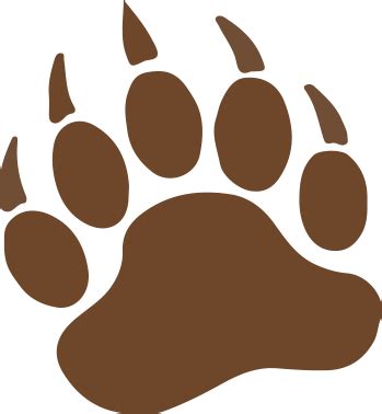 bear-paw – Bear Inspection