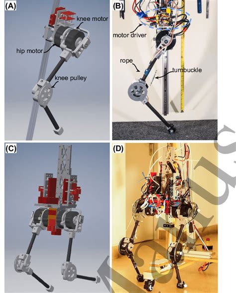 GURO robotic leg mechanical design. (A) The single leg robot CAD model... | Download Scientific ...