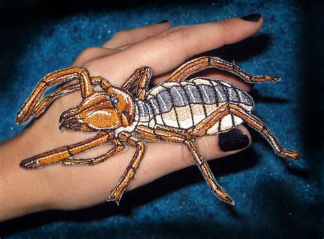 Solifugae Camel Spider Wind scorpions Sun araignée Fer sur - Etsy France