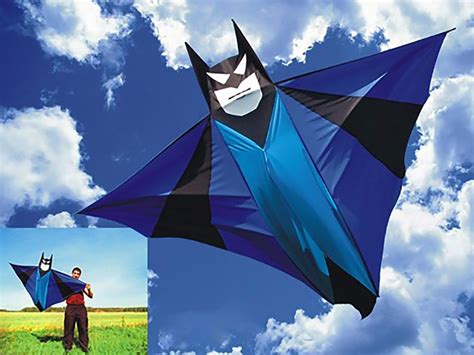 7 Best Kites for Adults of all Skill Levels | Recreation Insider