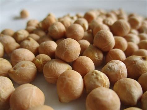 The mystery of Chickpea varieties