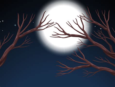 Full moon night scene 304057 Vector Art at Vecteezy