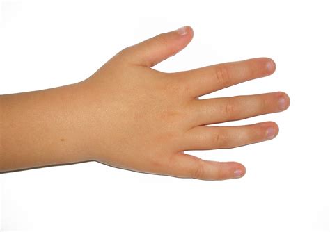 Gambar : jari, anak, manusia, lengan, kuku, kulit, kanan, adil, model tangan 2394x1690 ...