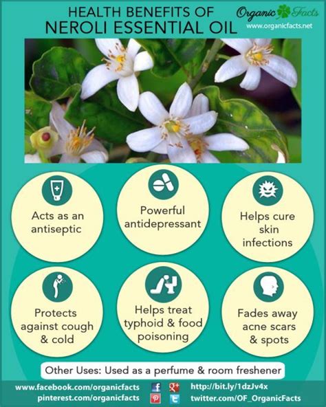 The health benefits of Neroli Essential Oil can be attributed to its properties like anti ...