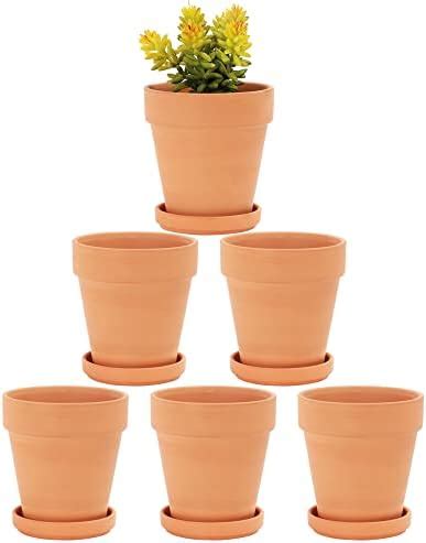 Amazon.com: vensovo 6 Pack Small Terracotta Flower Pots with Holes & Saucers - 4 Inch Clay ...